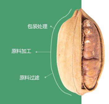 碧根果蘑菇视频黄色下载初加工